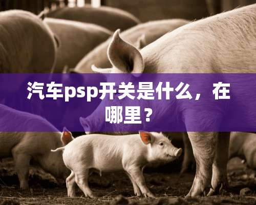 汽车psp开关是什么，在哪里？