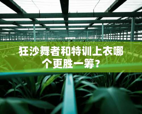 狂沙舞者和特训上衣哪个更胜一筹？