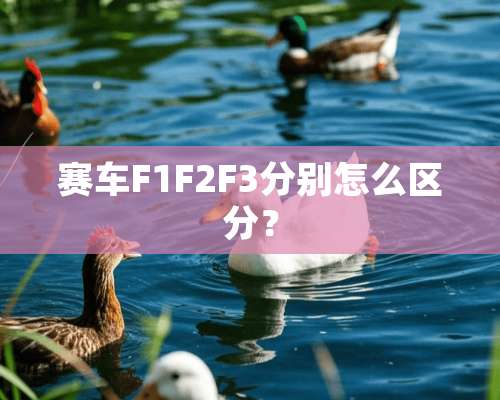 赛车F1F2F3分别怎么区分？