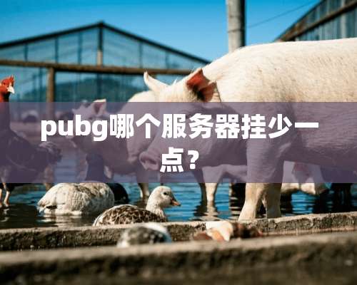 pubg哪个服务器挂少一点？