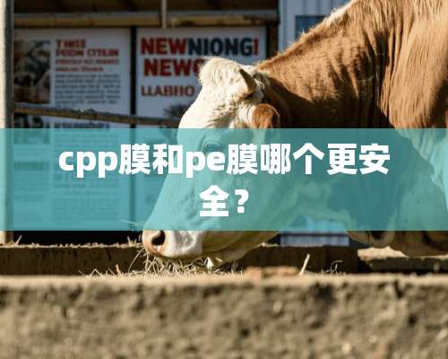 cpp膜和pe膜哪个更安全？