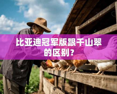 比亚迪冠军版跟千山翠的区别？