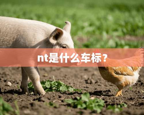 nt是什么车标？