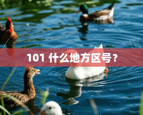 101 什么地方区号？