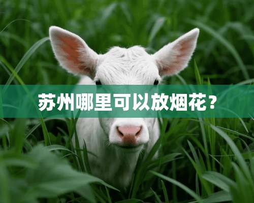 苏州哪里可以放烟花？