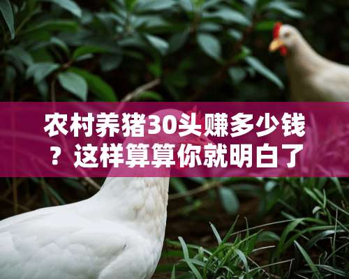 农村养猪30头赚多少钱？这样算算你就明白了！