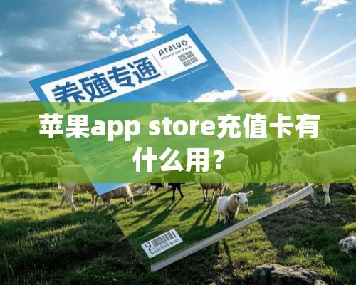 苹果app store充值卡有什么用？