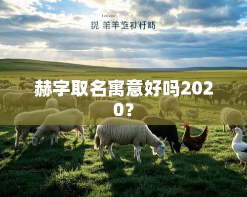 赫字取名寓意好吗2020？