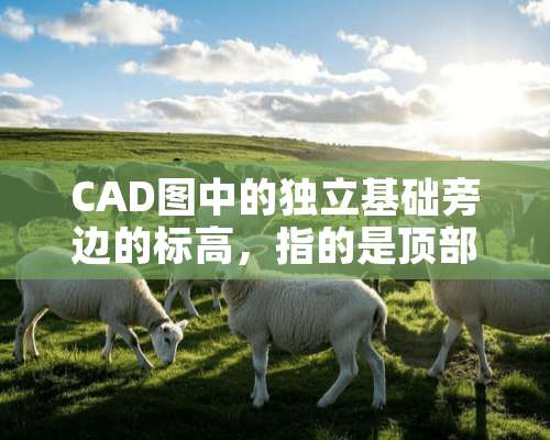 CAD图中的**基础旁边的标高，指的是顶部标高还是底部标高？