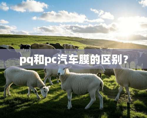 pq和pc汽车膜的区别？