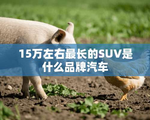 15万左右最长的SUV是什么品牌汽车