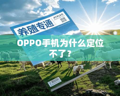 OPPO手机为什么定位不了？