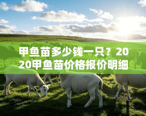 甲鱼苗多少钱一只？2020甲鱼苗价格报价明细表