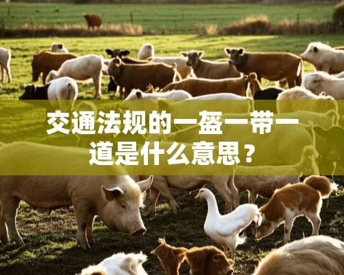 交通法规的一盔一带一道是什么意思？