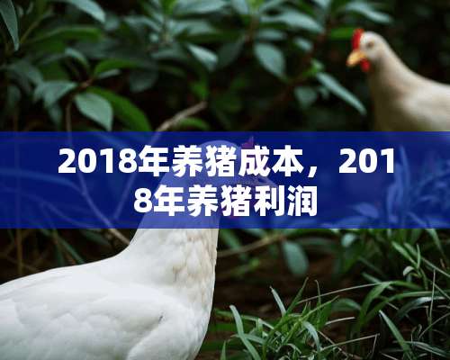 2018年养猪成本，2018年养猪利润