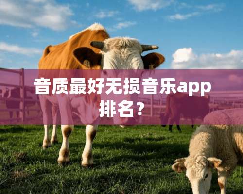 音质最好无损音乐app排名？