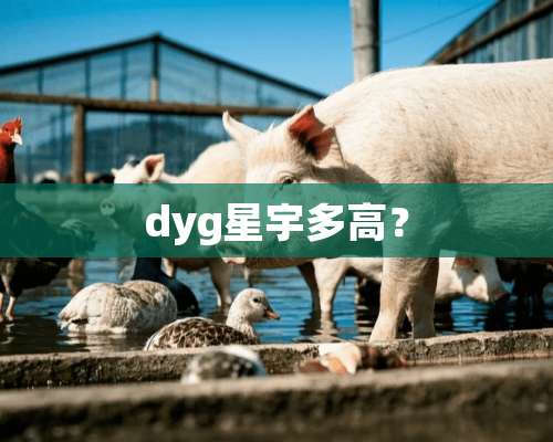 dyg星宇多高？