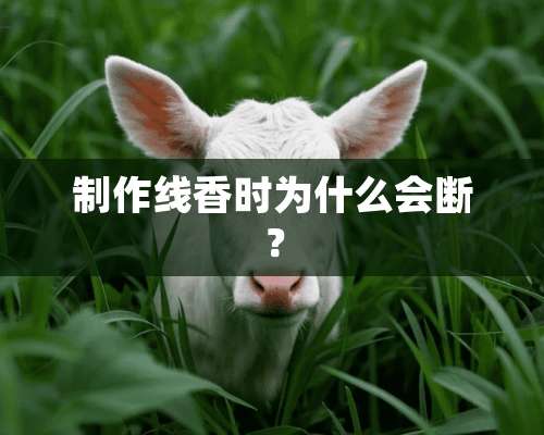 制作线香时为什么会断？