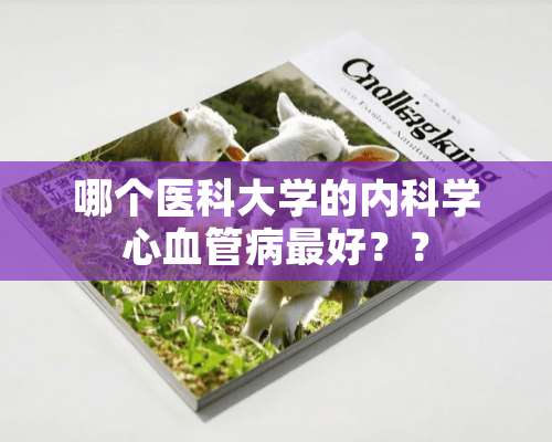 哪个医科大学的内科学心血管病最好？？