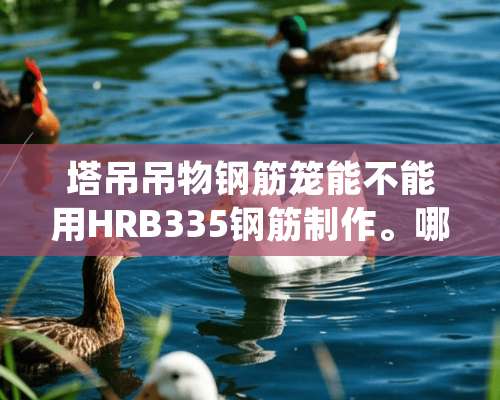 塔吊吊物钢筋笼能不能用HRB335钢筋制作。哪本规范上有详细规定？