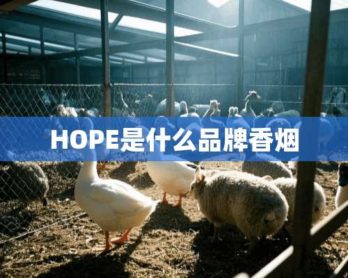 HOPE是什么品牌香烟