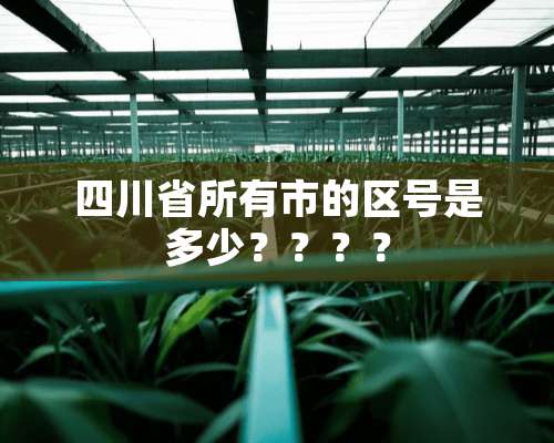 四川省所有市的区号是多少？？？？