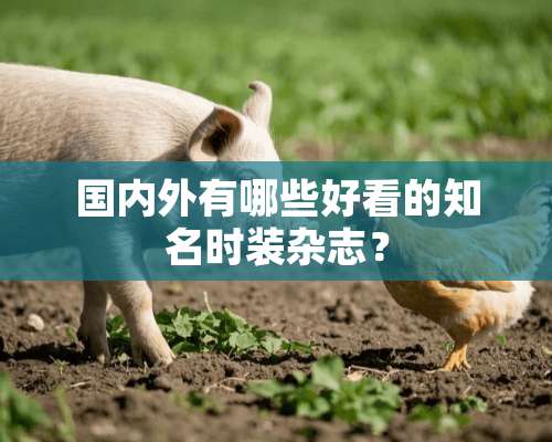 国内外有哪些好看的知名时装杂志？