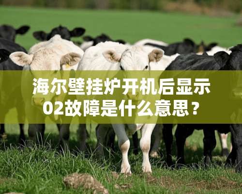 海尔壁挂炉开机后显示02故障是什么意思？