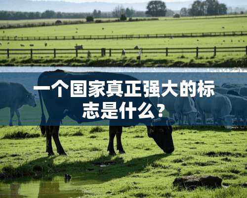 一个国家真正强大的标志是什么？