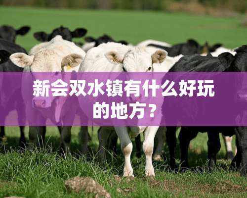 新会双水镇有什么好玩的地方？