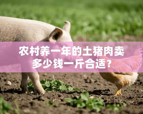 农村养一年的土猪肉卖多少钱一斤合适？