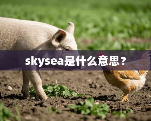 skysea是什么意思？