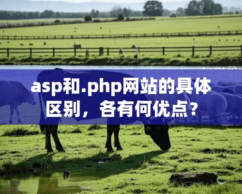 asp和.php网站的具体区别，各有何优点？