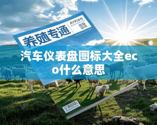 汽车仪表盘图标大全eco什么意思