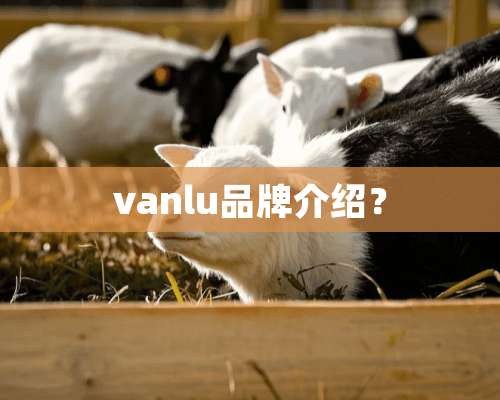 vanlu品牌介绍？