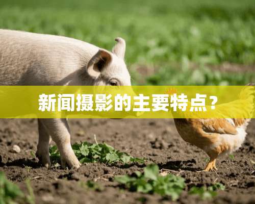 新闻摄影的主要特点？