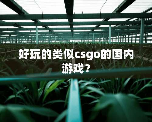 好玩的类似csgo的国内游戏？