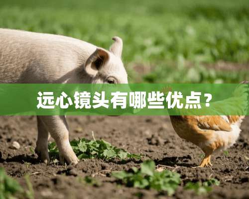 远心镜头有哪些优点？