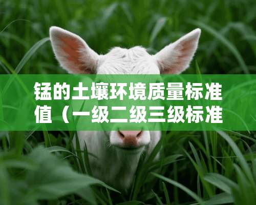 锰的土壤环境质量标准值（一级二级三级标准各是什么）