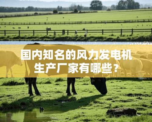 国内知名的风力发电机生产厂家有哪些？