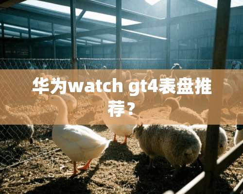 华为watch gt4表盘推荐？