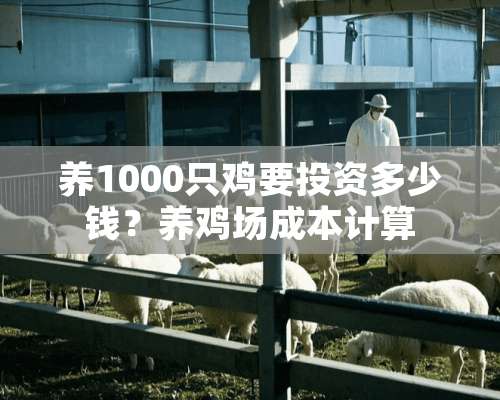 养1000只鸡要投资多少钱？养鸡场成本计算