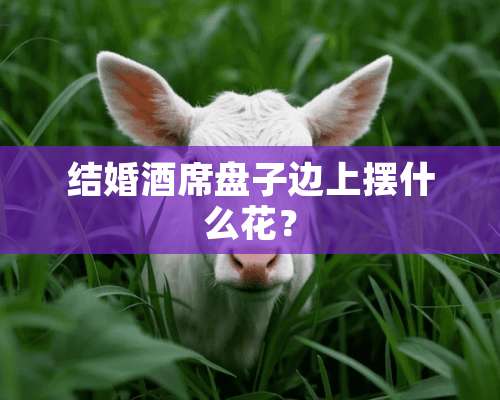 结婚酒席盘子边上摆什么花？