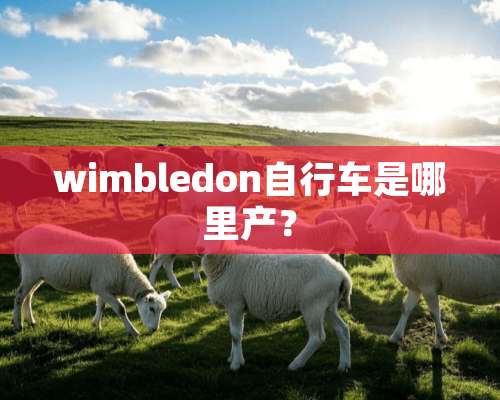 wimbledon自行车是哪里产？