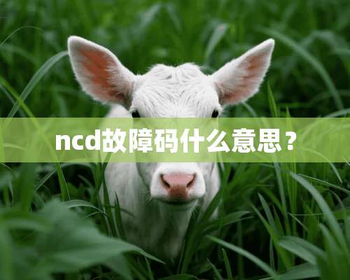 ncd故障码什么意思？