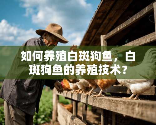 如何养殖白斑狗鱼，白斑狗鱼的养殖技术？