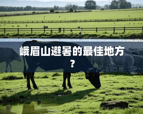 峨眉山避暑的最佳地方？