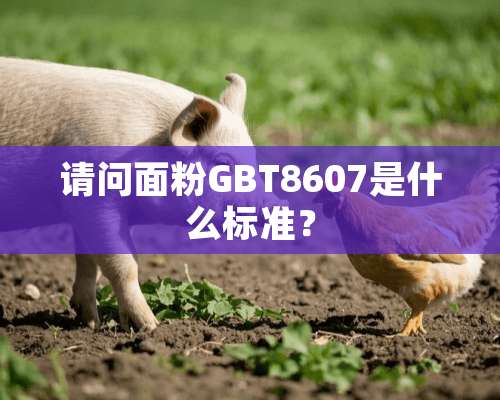 请问面粉GBT8607是什么标准？