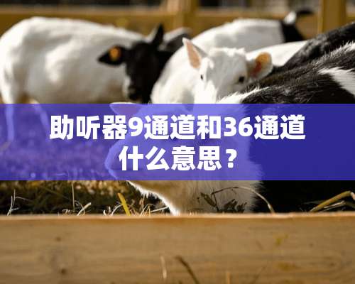 ***9通道和36通道什么意思？