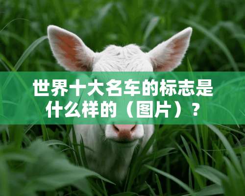 世界十大名车的标志是什么样的（图片）？